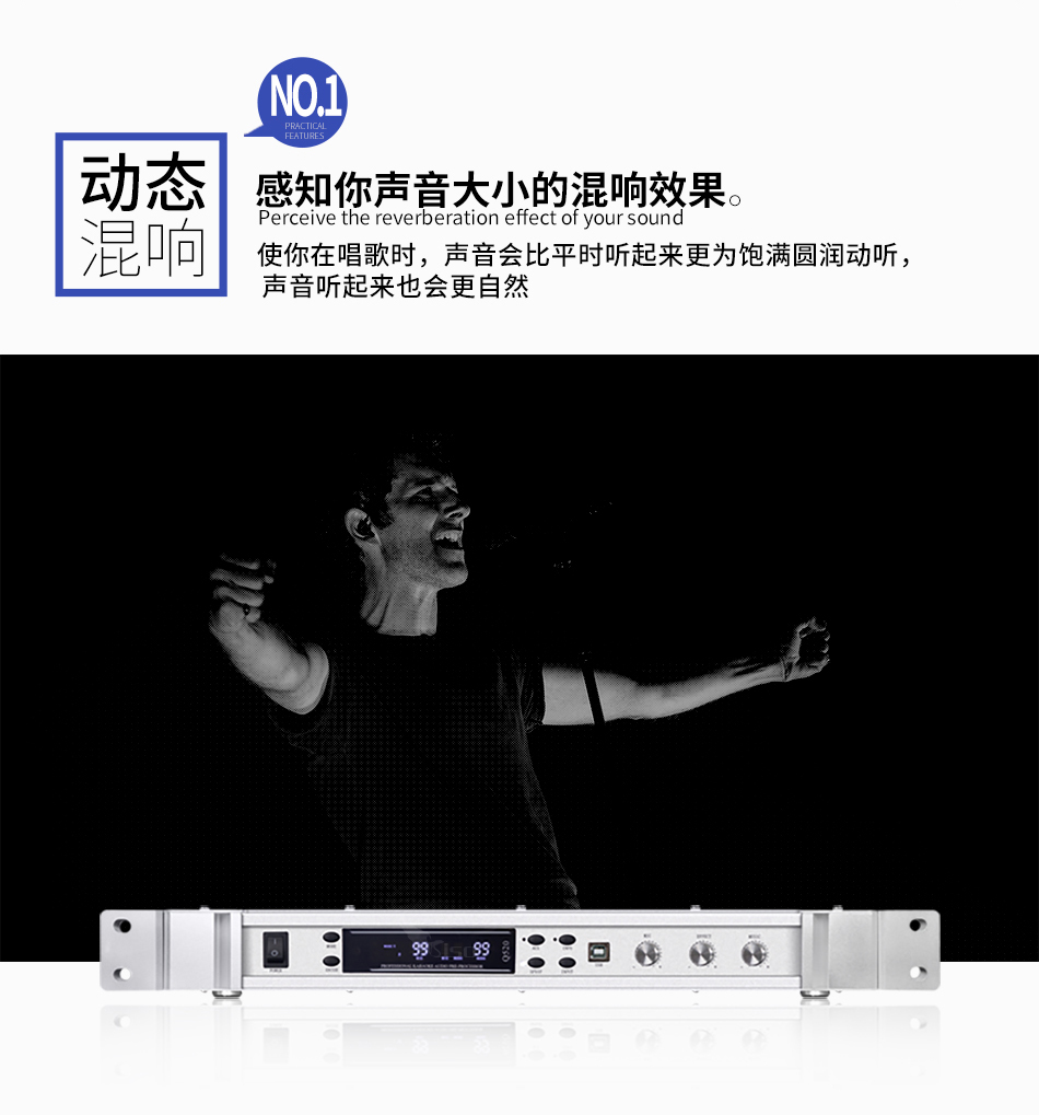 崔帕斯出品专业KTV前级效果器 SISO Q520